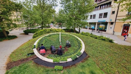 Elkezdték az ültetést - ötezer tő virág kerül idén tavasszal a Virágórába